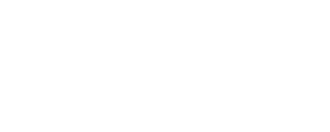 V3-zeekr 300×120-no trust-wit