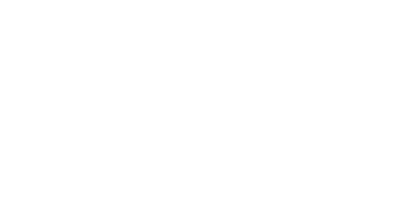 Logo Carmeleon